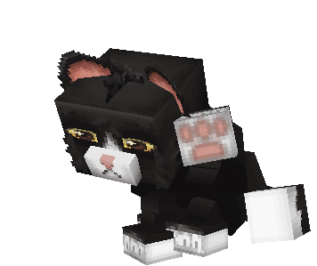 Servidor Host Hytale BedHosting